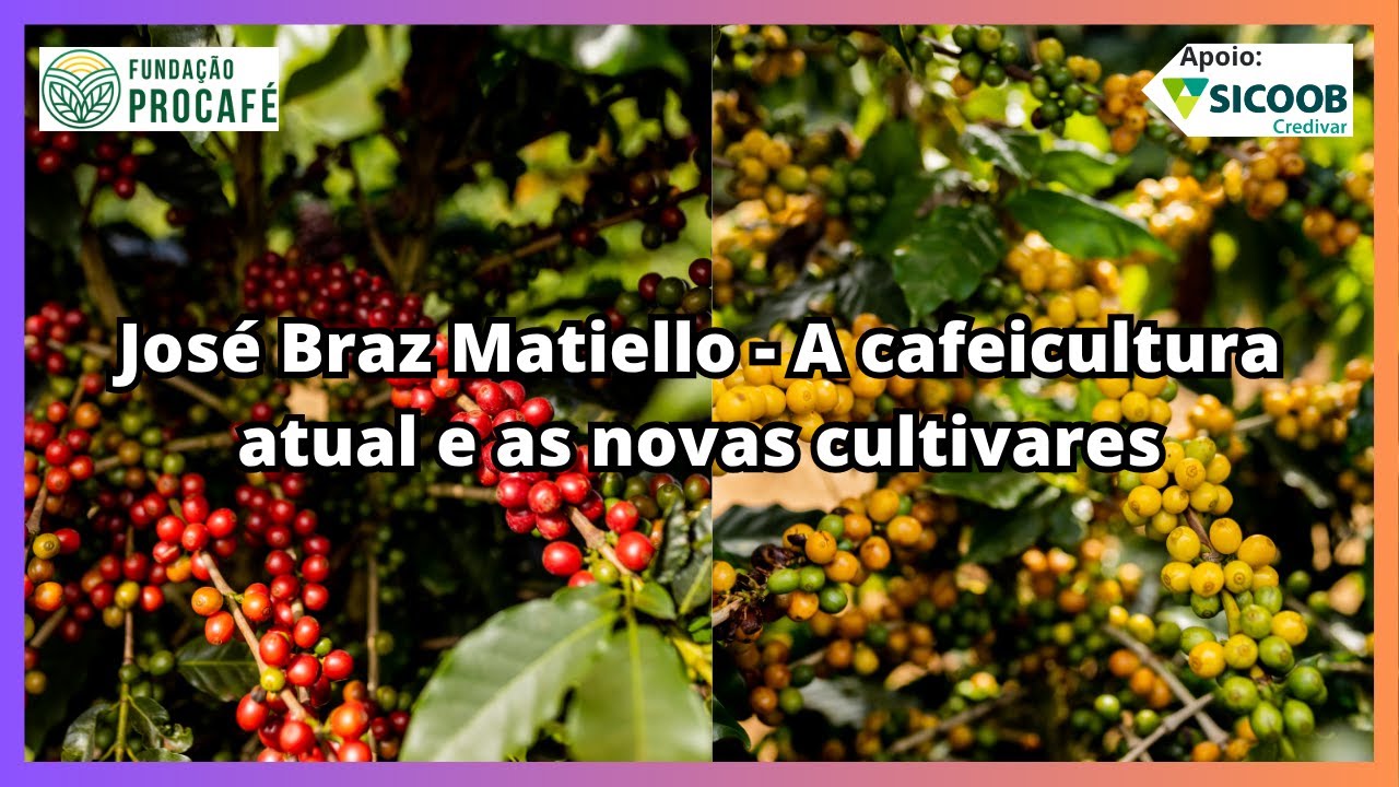 Podcast #193 - José Braz Matiello - A cafeicultura atual e as novas cultivares