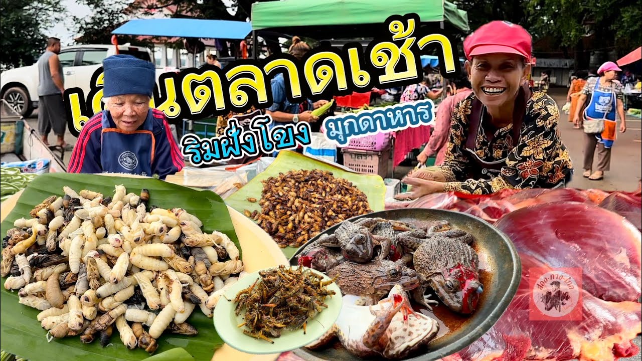 เดินตลาดเช้า!! ชาวบ้าน จ.มุกดาหาร #ริมโขง #ตลาดเช้า #อาหาร #อาหารอีสาน #ของป่า #ชาวบ้าน #มุกดาหาร