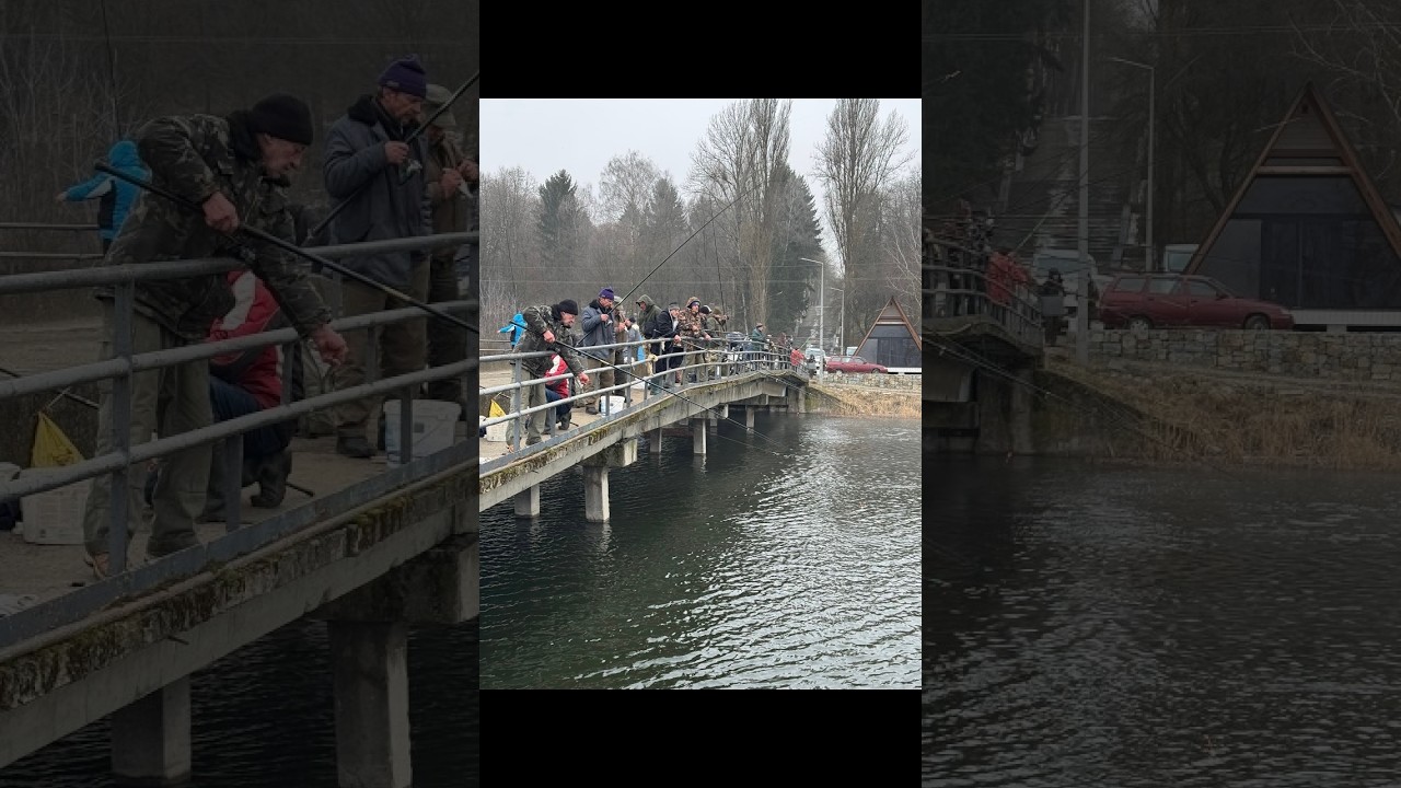 Благодійний Кубок Ветеранів України з ловлі риби фідером . Бурштин 27-28 лютого 2026 2 тур.