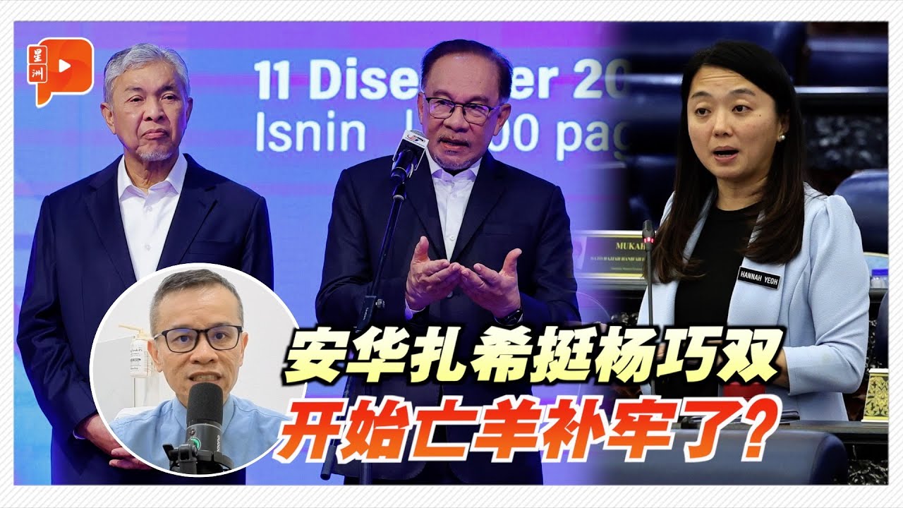 安华扎希挺杨巧双 开始亡羊补牢了？