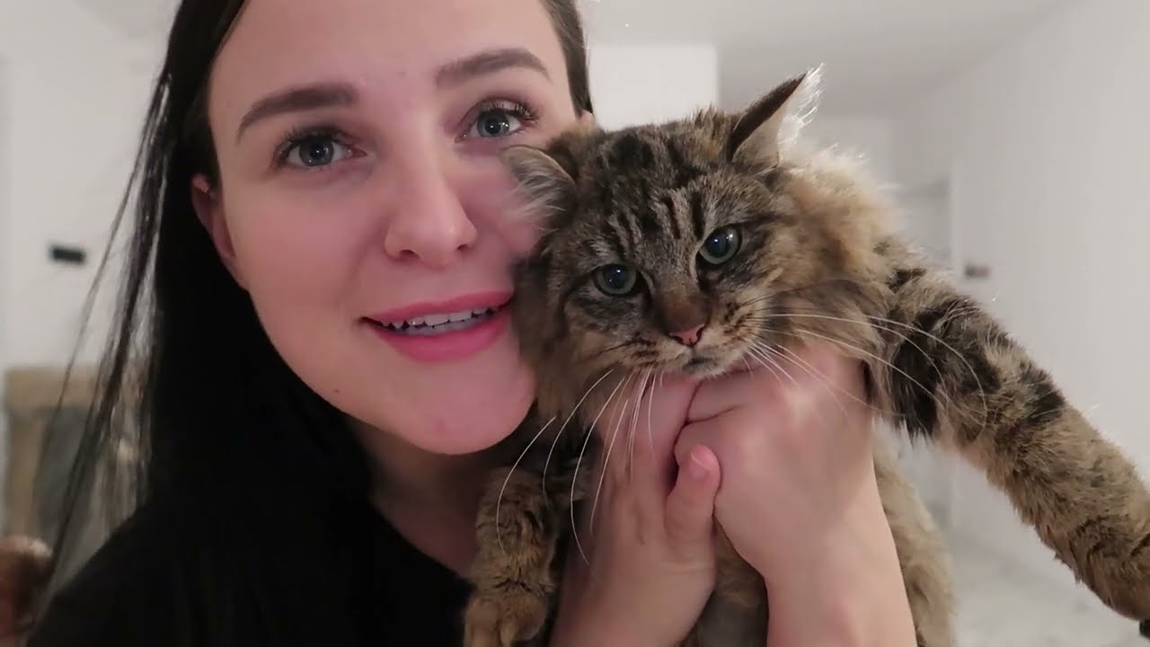 VLOGMAS : PRZYGOTOWANIA DO ŚWIĄT ⛄