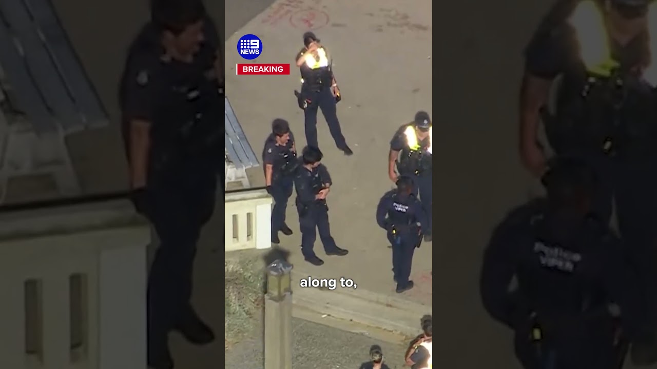 Hundreds of teens storm supermarket after beach brawl | 9 News Australia