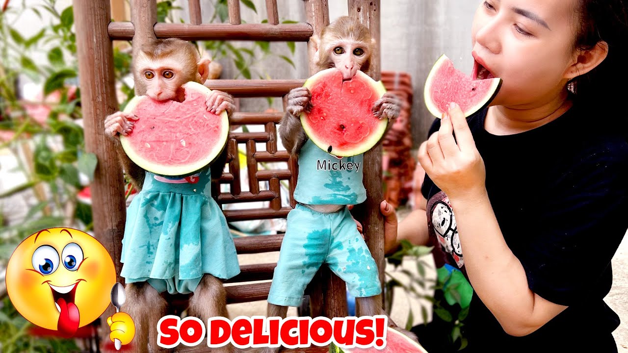 Мон и Кака помогают маме ухаживать за огородом и получают за это щедрую плату