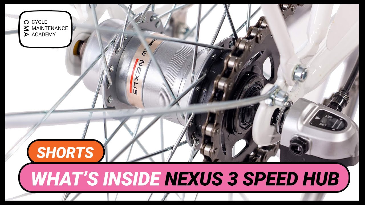 Whats inside nexus 3 speed gear hub