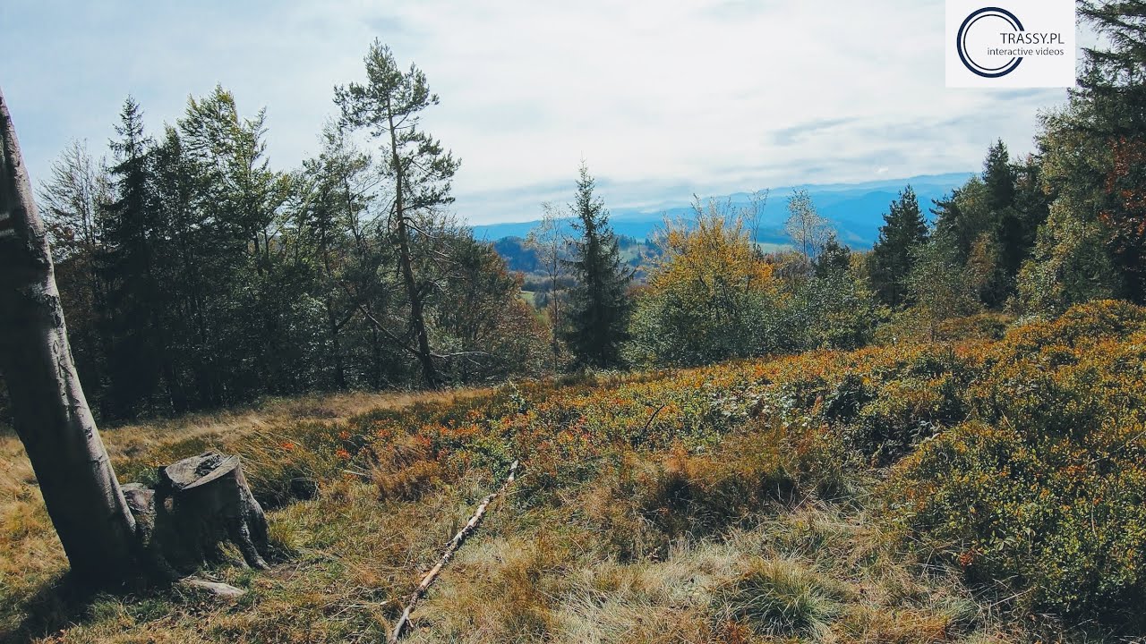Pętla rowerowa na Halę Łabowską z Rytra przez Wolę Krogulecką. Powr&oacute;t przez Łomnicę-Zdr&oacute;j.