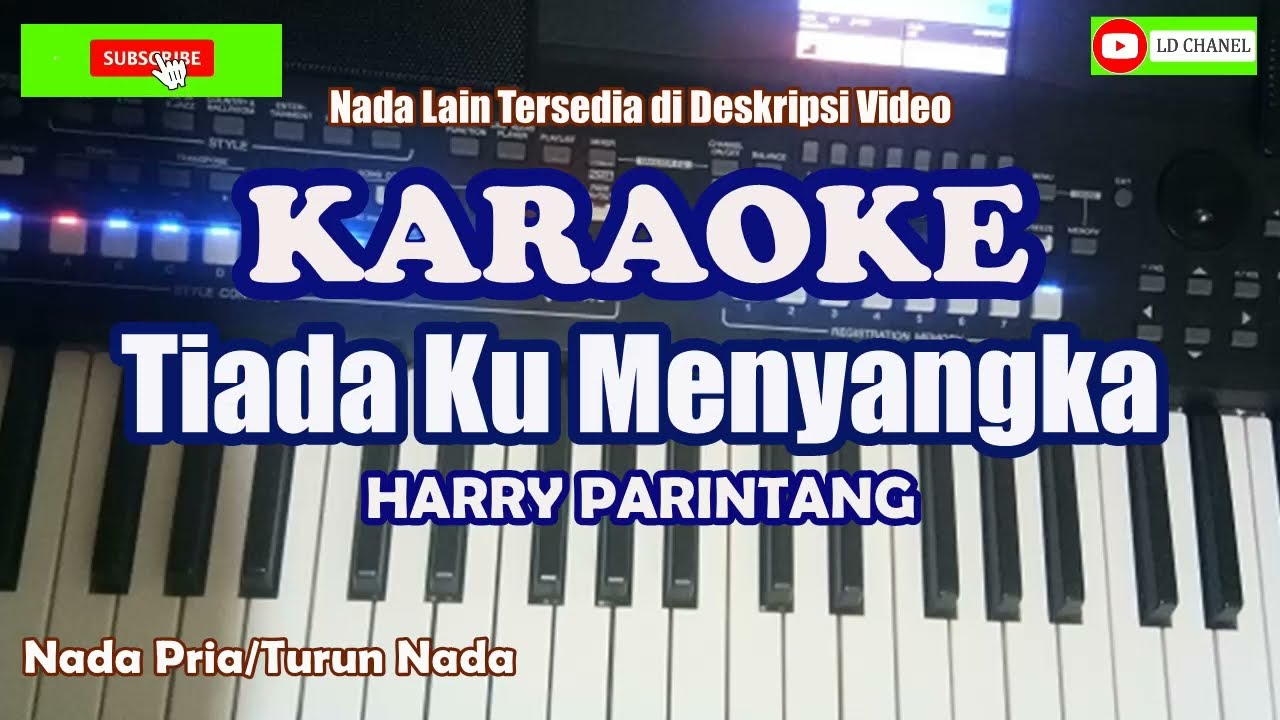 Lagu Terbaru HARRY PARINTANG/TIADA KU MENYANGKA (Karaoke HD/Nada Pria Rendah)