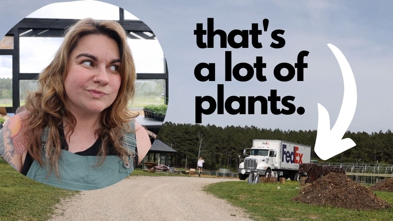 Has it come to buying plants by the truckload? | VLOG
