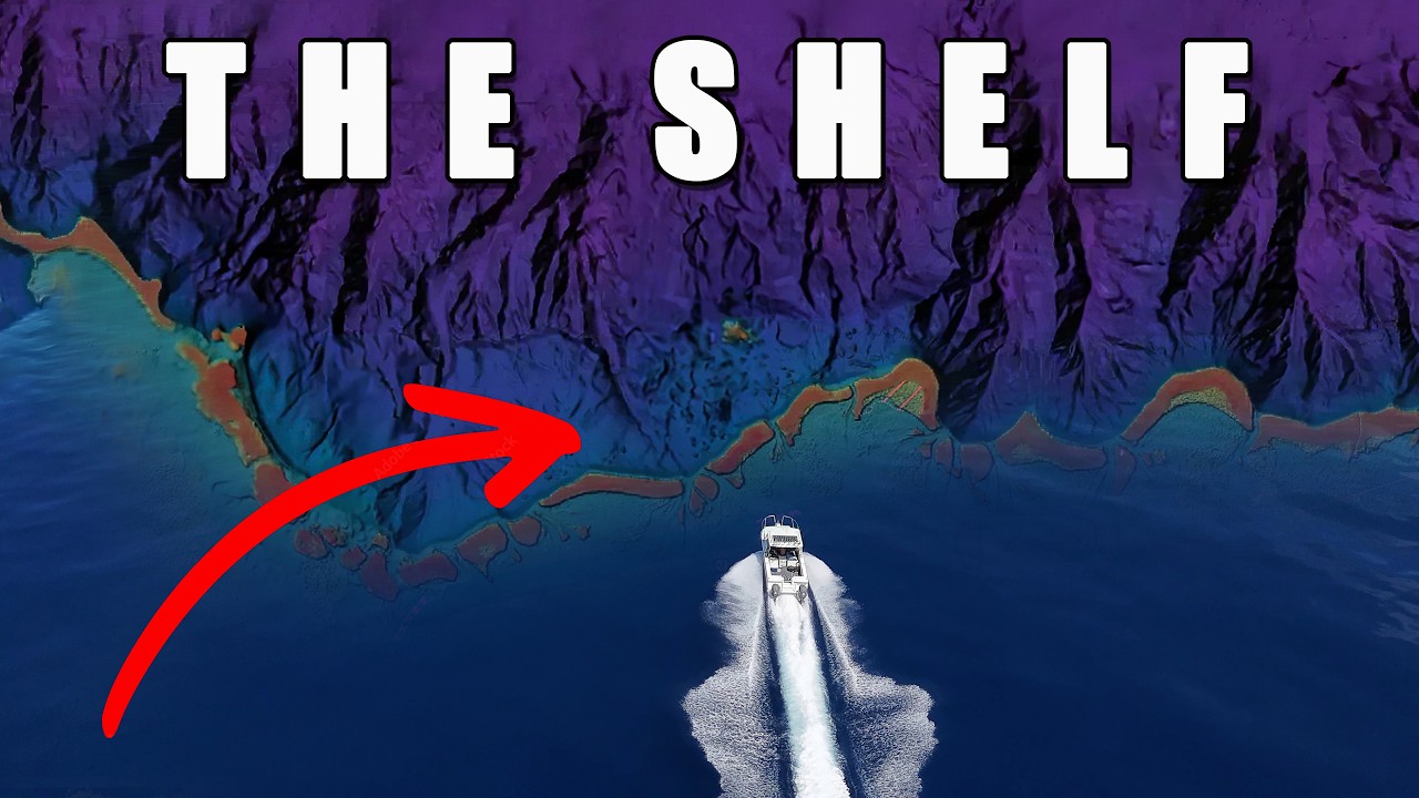 Deep Dropping & Jigging The Shelf – Giant Jigs, Huge Bait & Hungry Sharks