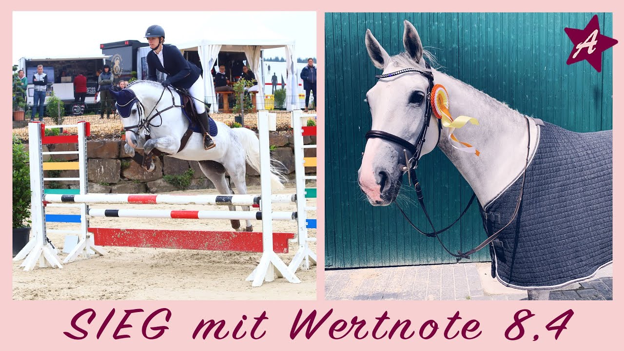 SIEG im A-Springen I Wertnote 8,4 I 1. Spring Turnier mit meinem neuen Pferd nach Corona I Lindlar