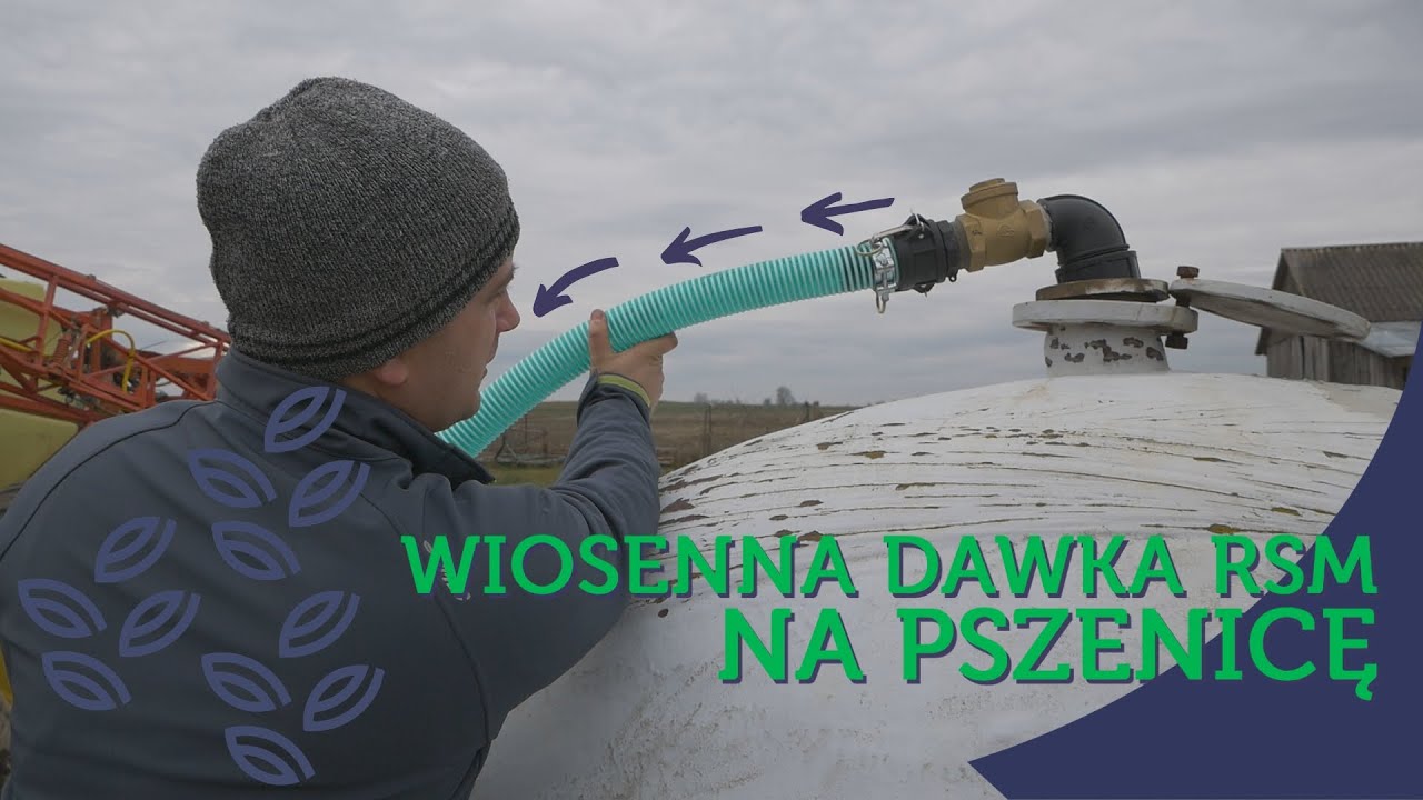 APLIKACJA RSM PRZED DESZCZEM - PSZENICA BEZ TAJEMNIC - #116 nawozy nonstop