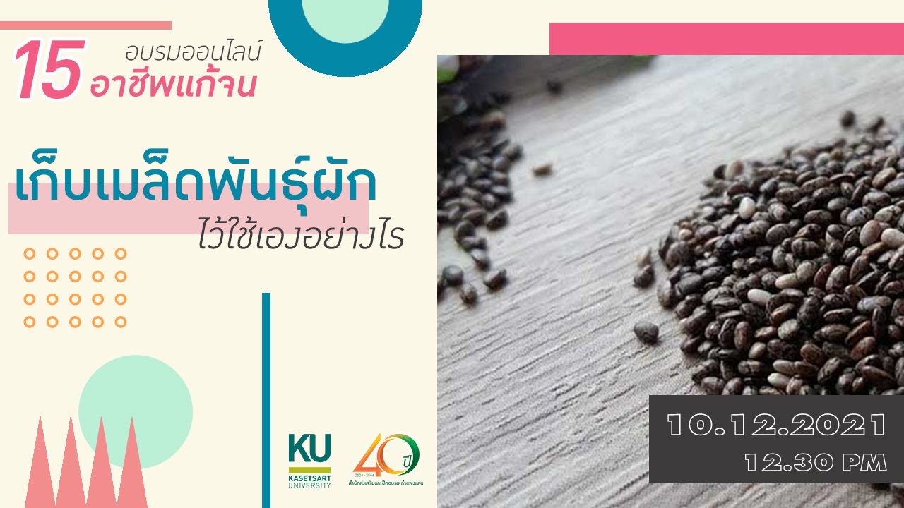 15 อาชีพแก้จน EP.10 : เก็บเมล็ดพันธุ์ผักไว้ใช้เองอย่างไร