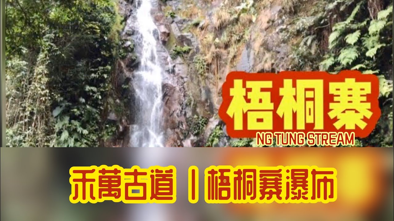 [香港行山好去處] 梧桐寨瀑布| 禾萬古道 | 井底瀑 | 中瀑 | 彩虹瀑 | 主瀑 | 散髮瀑 | 玉女瀑 | 萬德寺 | 同場山豬客串 | 難度路線 | 舊片復修