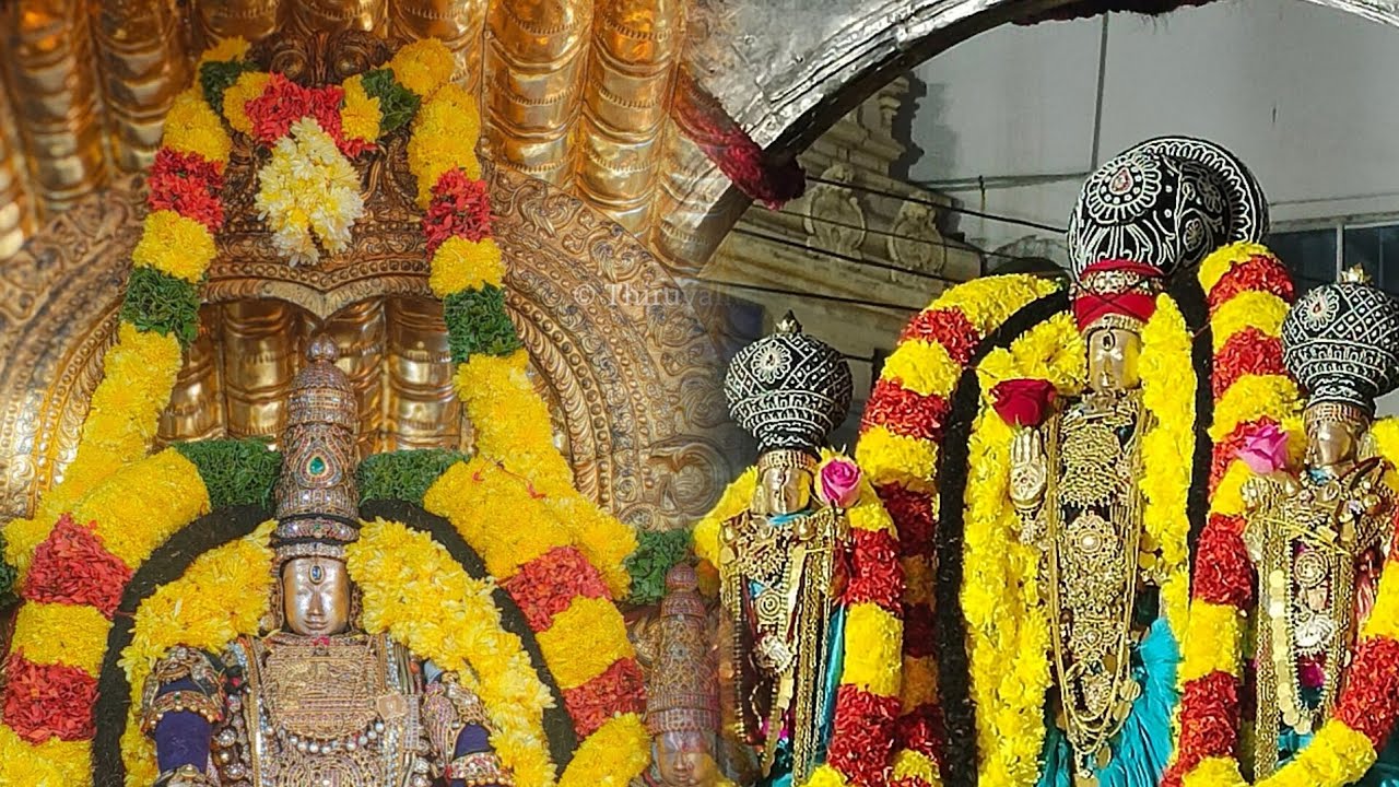 Sri Vaidhya Veeraraghava Perumal Thai Brahmotsavam Day 4Morning Sesha Vahanam Evening Chandraprabhai
