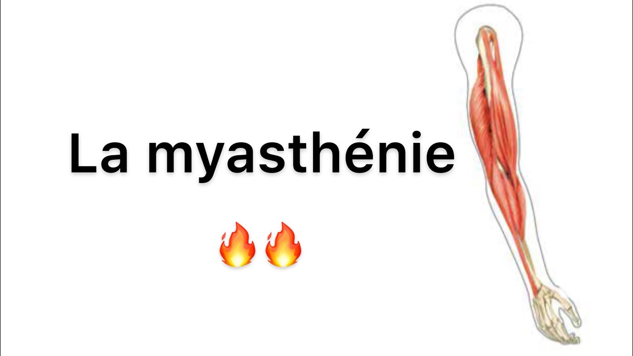 🔻Comprendre la Myasthenie en moin de 30 min ! | Neurologie | 4 ème année medecine