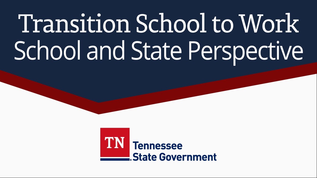 Transition School to Work: School and State Perspective