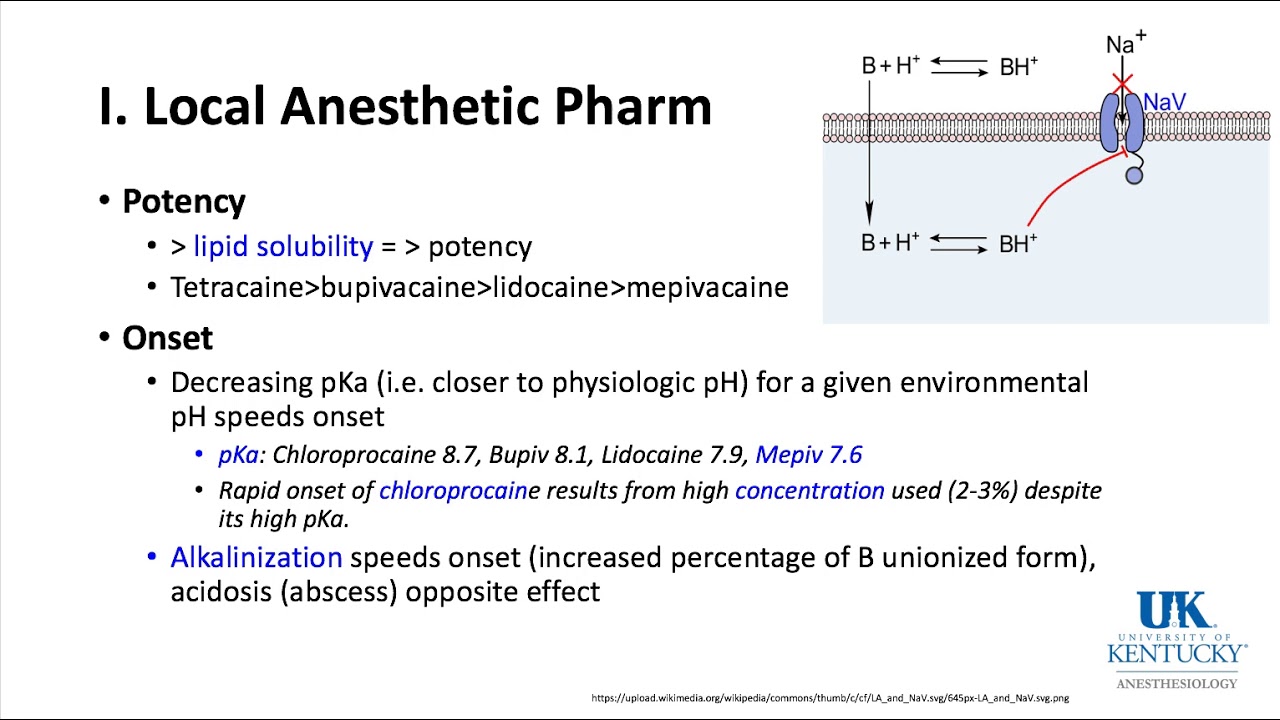 University of Kentucky Anesthesiology Pharmacology Keyword Review 2018 Part 1 of 3 - (Dr. Schell)