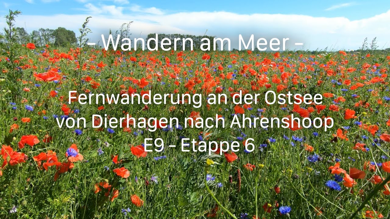 Wandern am Meer - von Dierhagen nach Ahrenshoop - Fernwanderweg E9 - Etappe 6