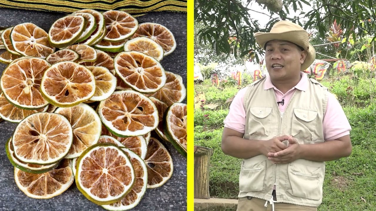 Healing Galing S19EP125 - DAYAP