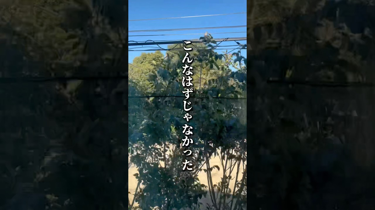 庭木の剪定#シマトネリコ #カツラ