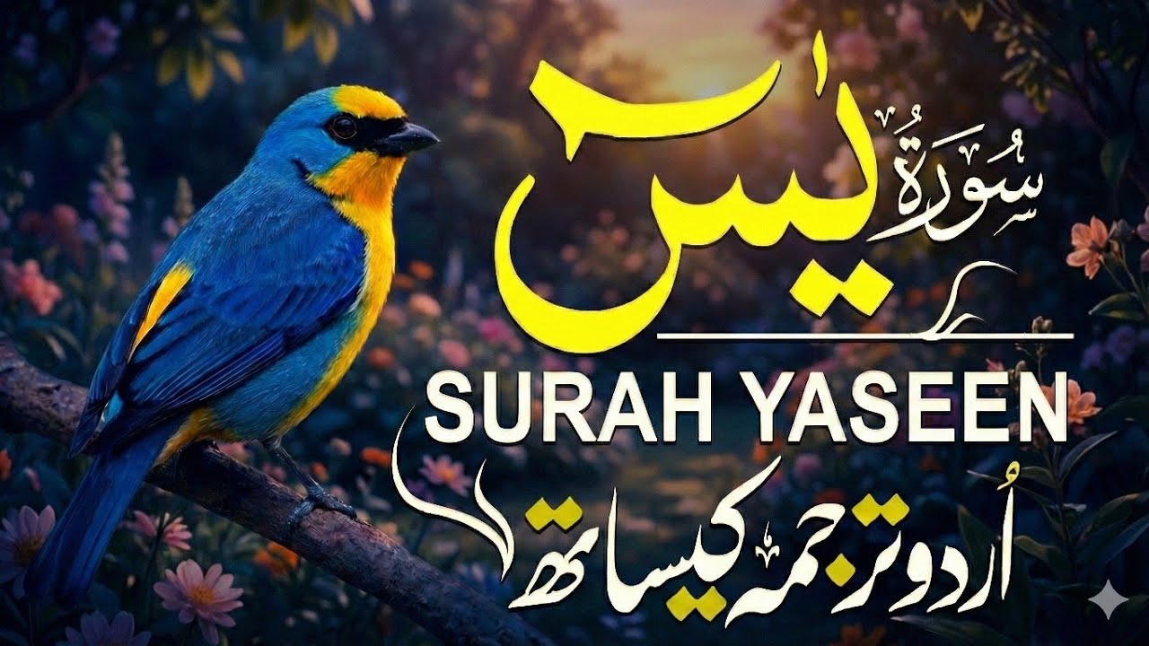 Surah Yaseen With Urdu Translation By Qari Mansoor Ghaznawi | Urdu And Hindi Tarjuma | Episode 02