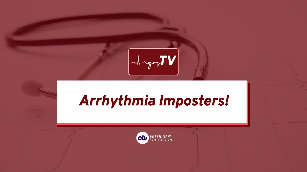 Arrhythmia Imposters - qrsTV - Veterinary ECG Explained