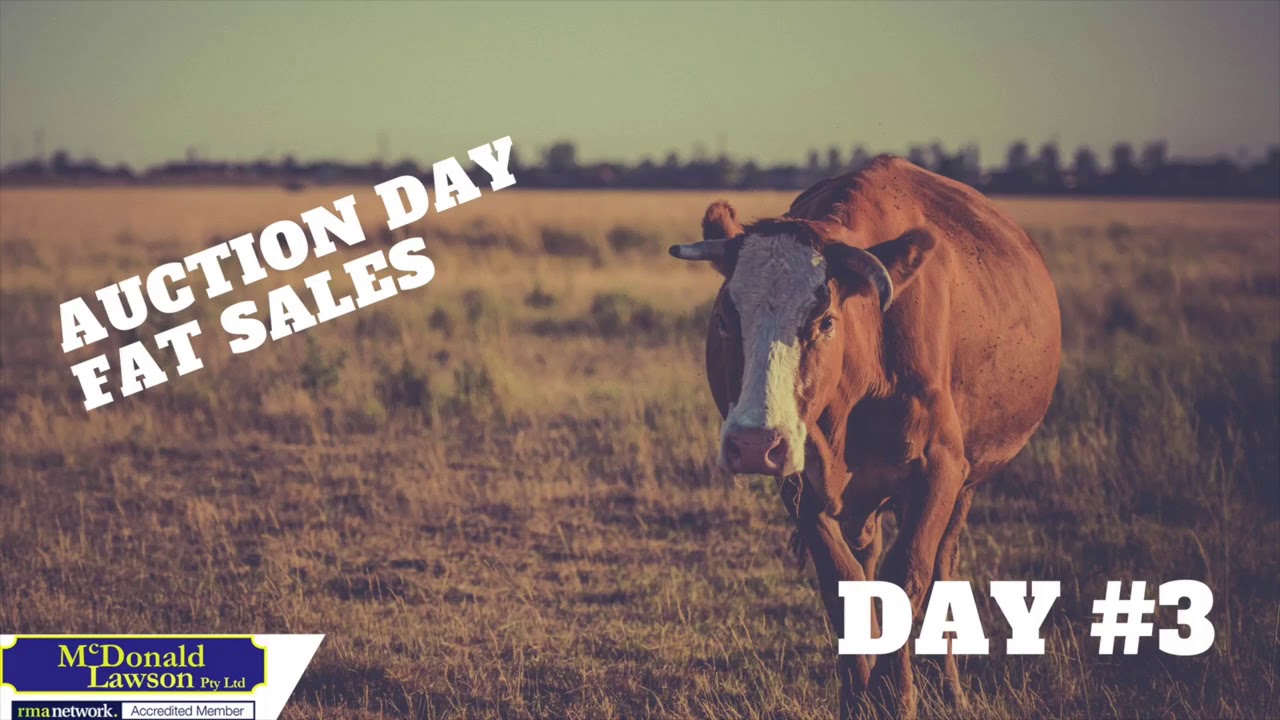 A Week in the Life of a Livestock Agent