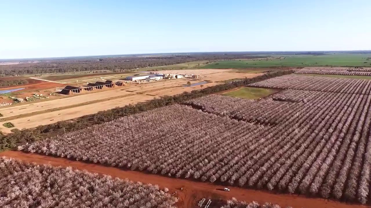 Select Harvests' Orchards in Bloom