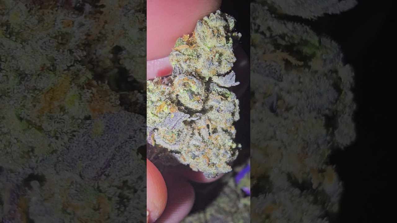 🥜peanut butter breath🥜 by 