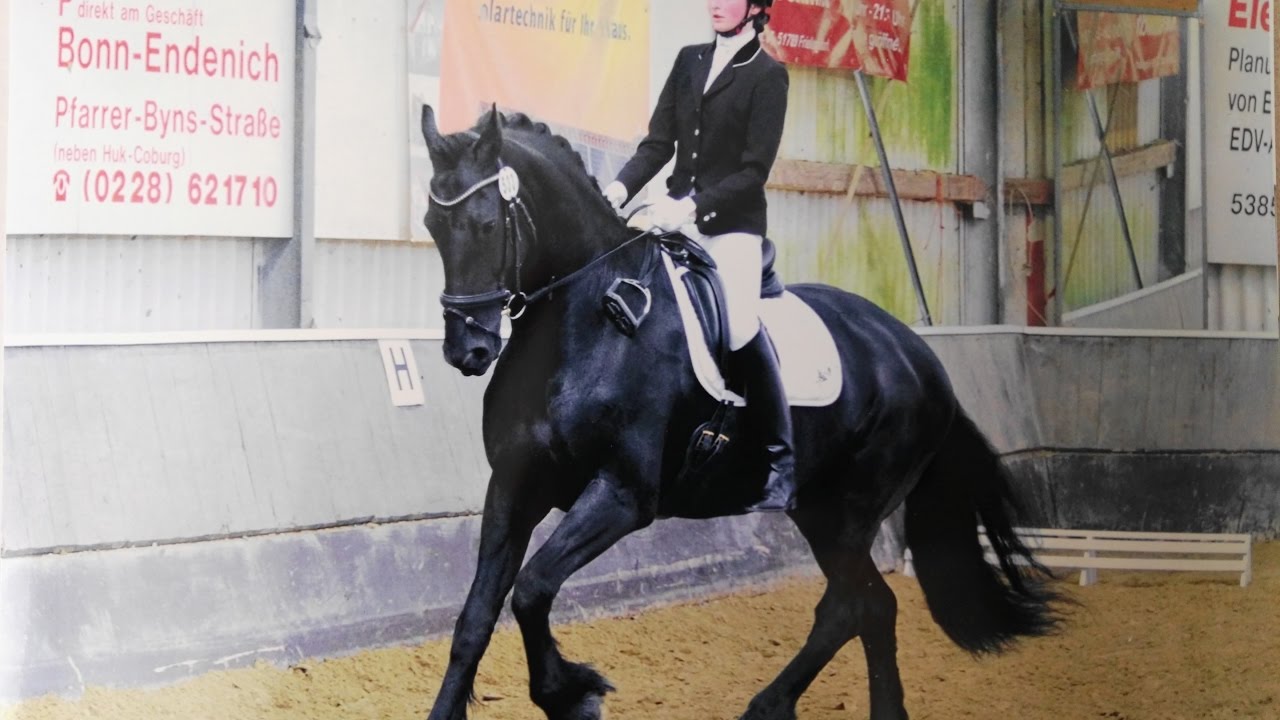 ERSTES TURNIER, Jugendreiter Sieg 8.0 - AIRO ♥