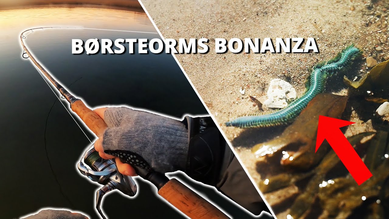 Intenst Havørredfiskeri i Solnedgangen! Børsteorms Imitationerne Gjorde Udslaget