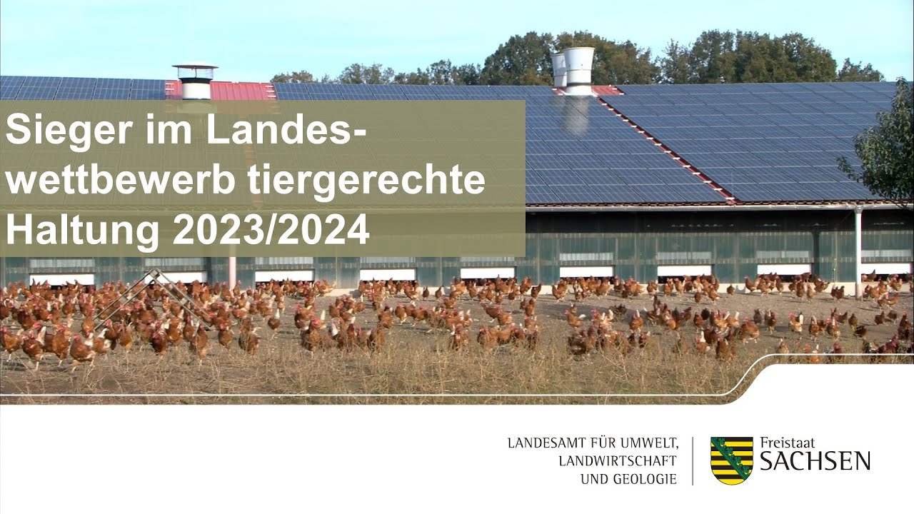 Tiergerechte Haltung 2023/24 – Sieger in der Kategorie Rinder-, Schweine- und Geflügelhaltung