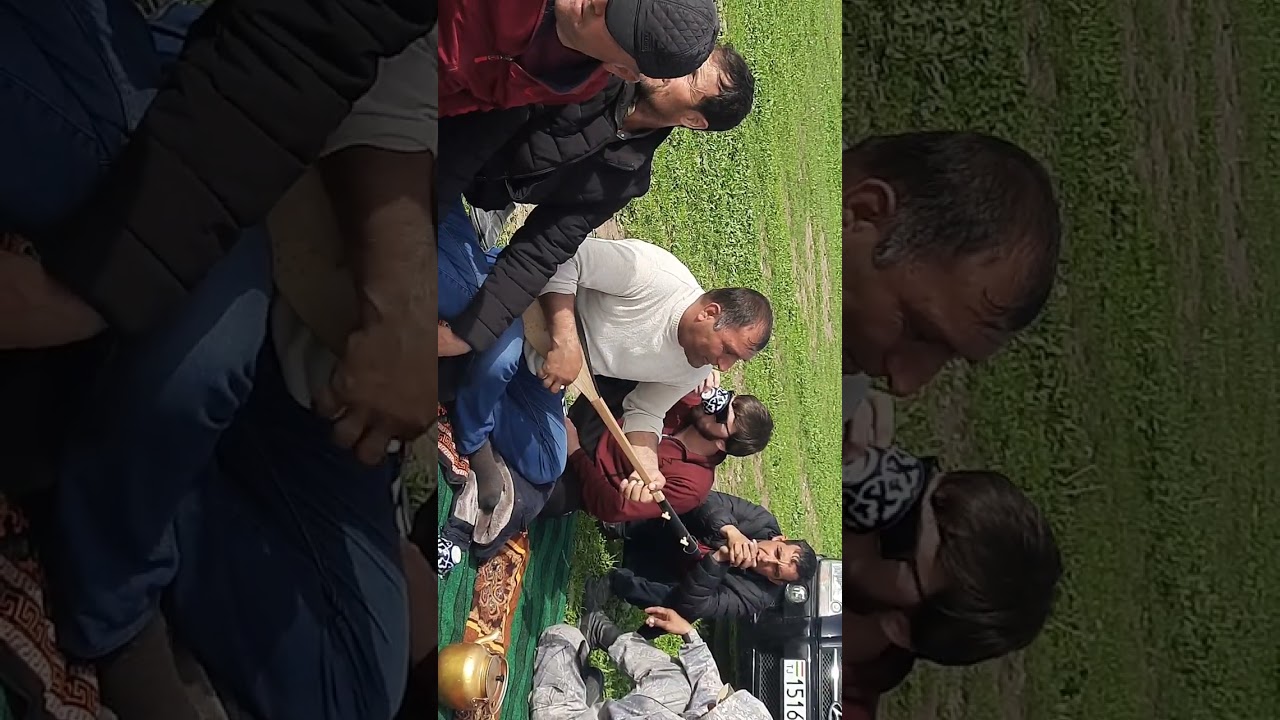 сари кух наврузи