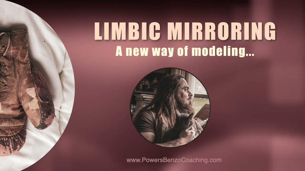 Limbic Mirroring, a new way of modeling