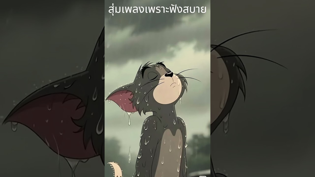 สุ่มเพลงเพราะฟังสบาย