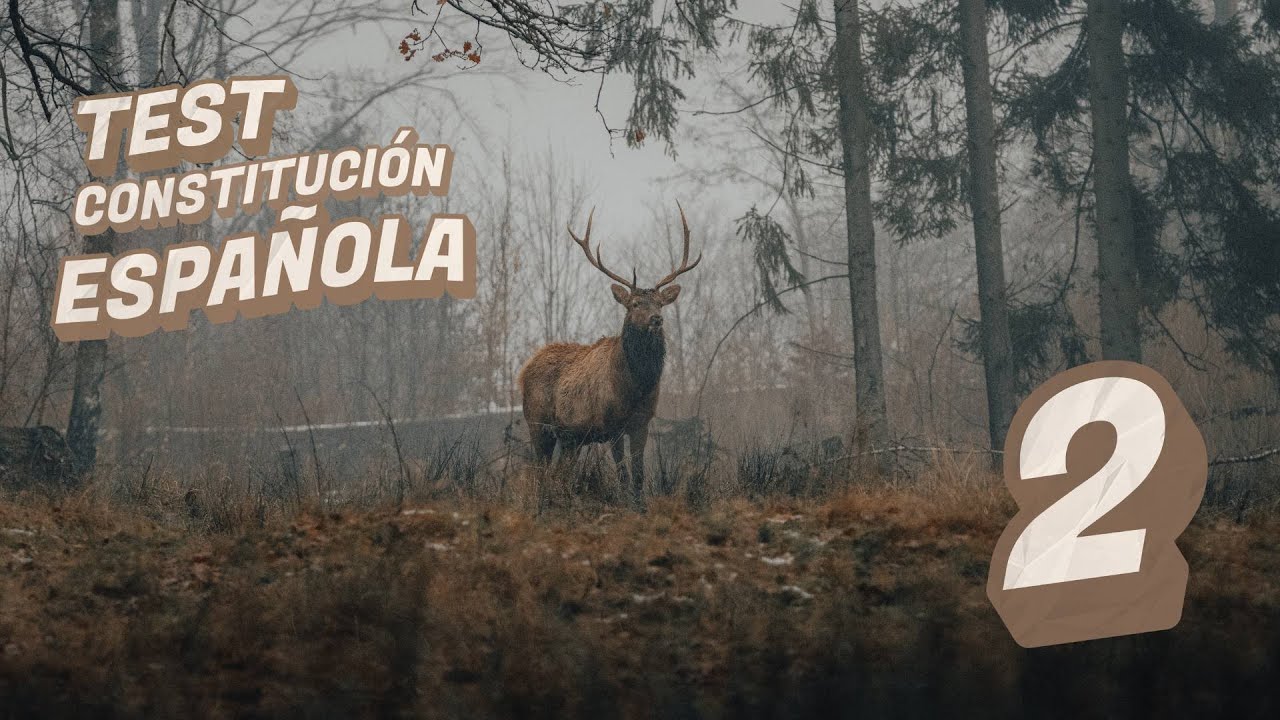 TEST CONSTITUCIÓN ESPAÑOLA (PARTE 2) | Cortes, Gobierno y Organización Territorial | Oposiciones