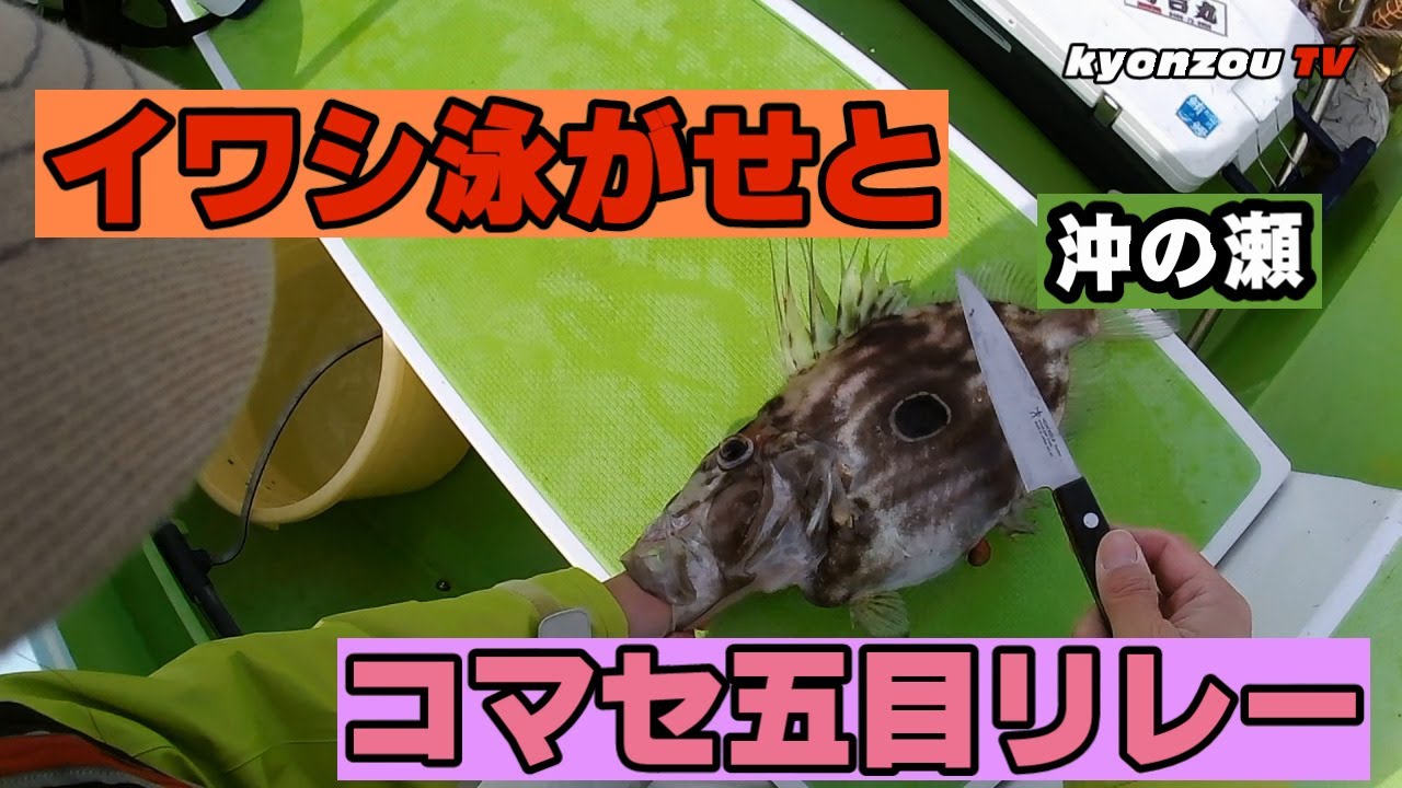 沖の瀬でイワシ泳がせからのコマセ五目でオカズキープ　秀吉丸