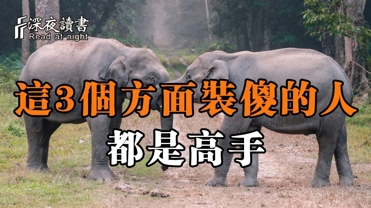 在這個世界上，懂得在這3個方面裝傻的人，絕對是高手！【深夜讀書】