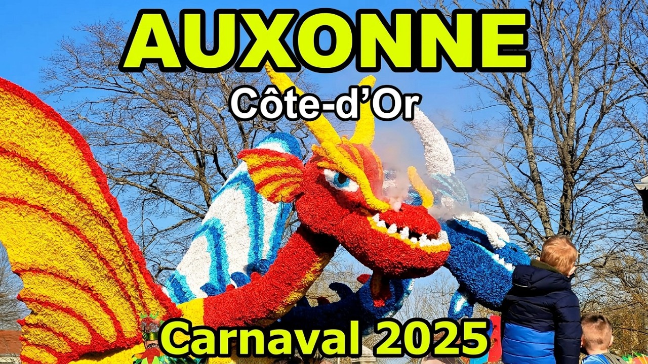 Carnaval d'AUXONNE 2025   (Côte d'Or)