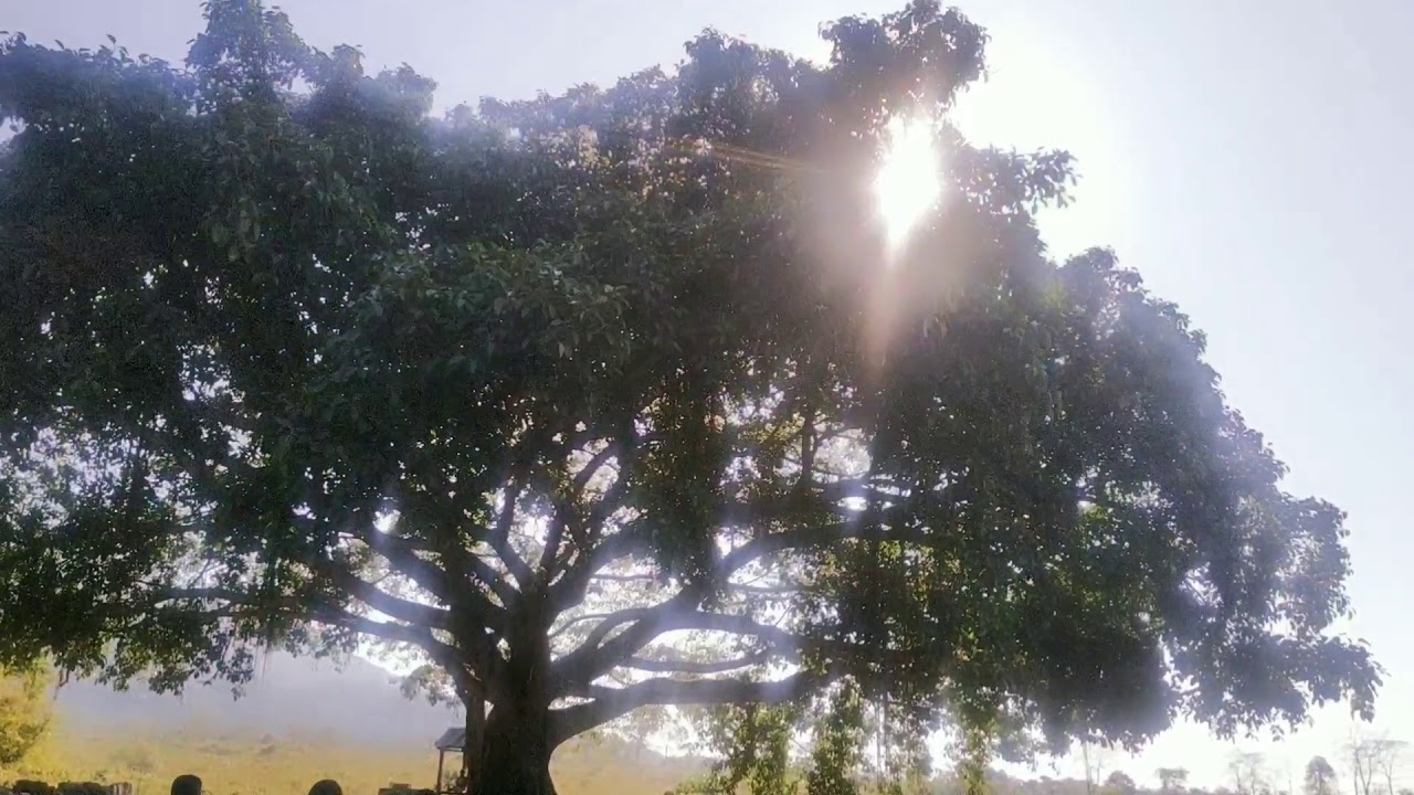 Trailer, Suntalabari Volg, 2020 First Vlog