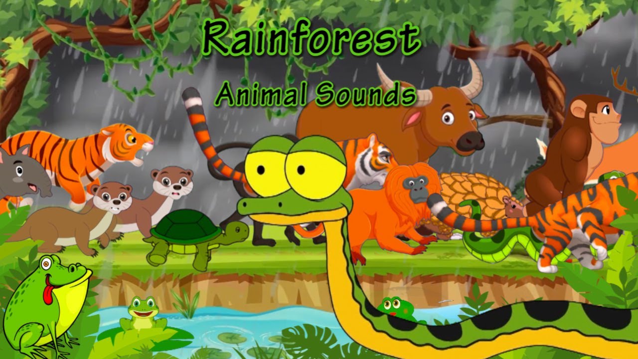 Rainforest Animal Sounds Song | Animals Song For Kids | Wild Animal Names & Sounds For Children