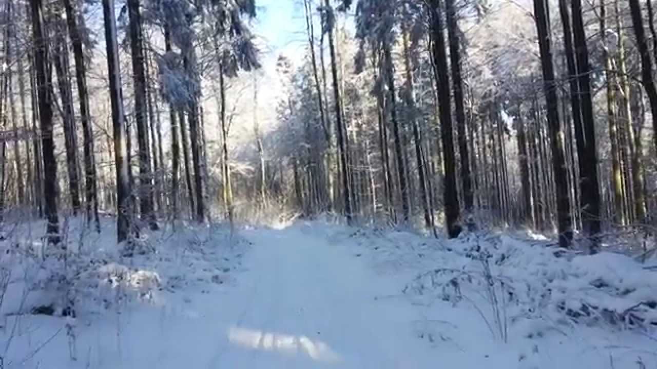 Geheimtipp Vulkaneifel! Ernstberg, Langlauf Loipe 2