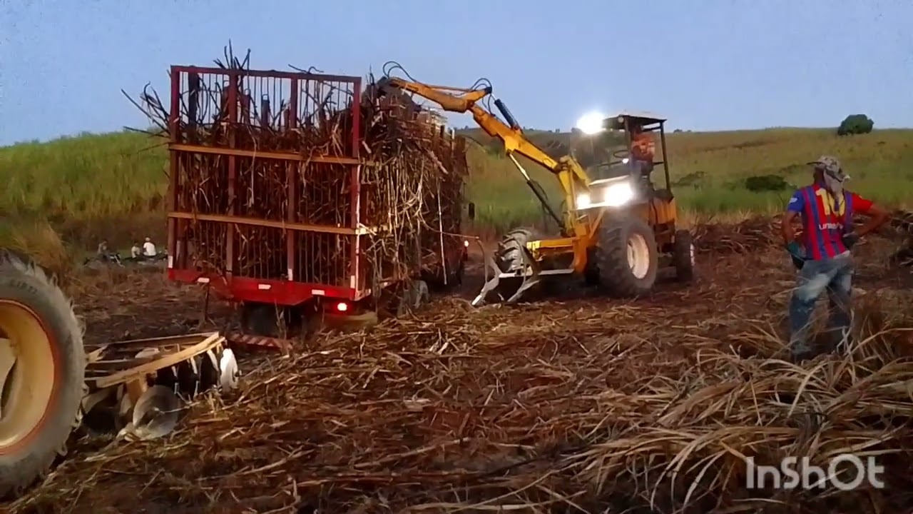 Dezatolando o carro  de cana