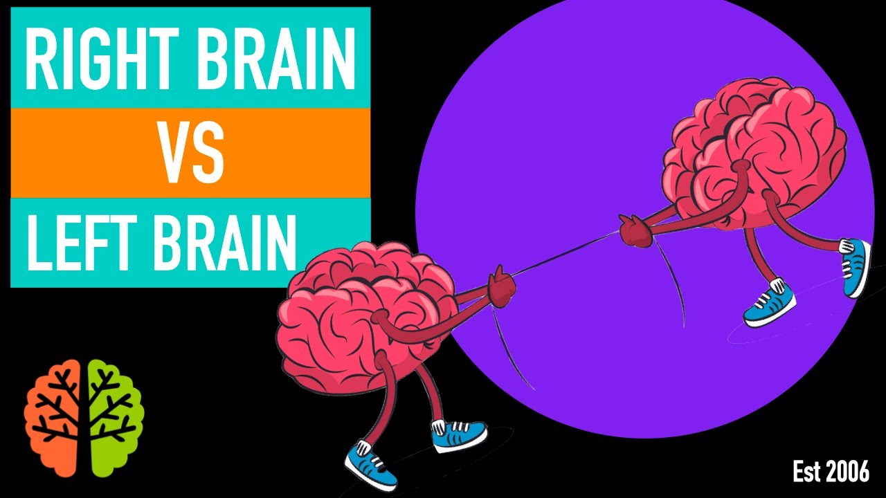 Right Brain vs Left Brain Training - Shichida Method, Heguru and Glenn Doman! Method