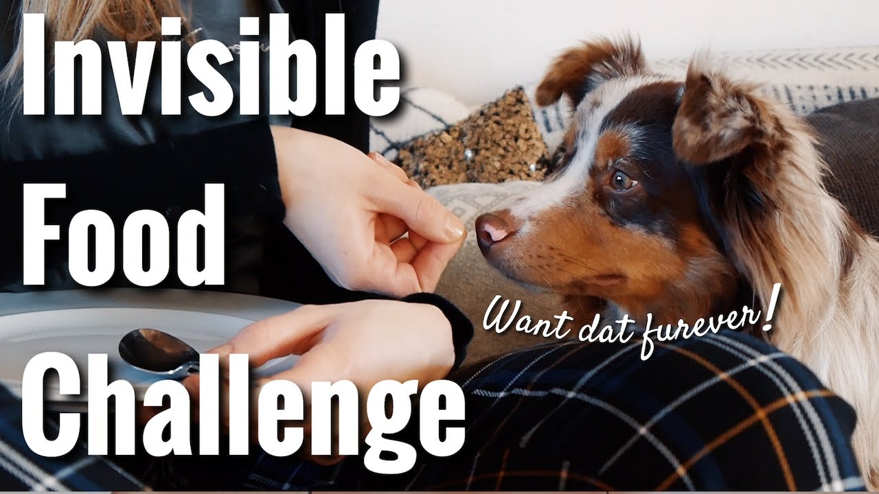 My Dogs Cute Reaction to the Invisible Food Challenge