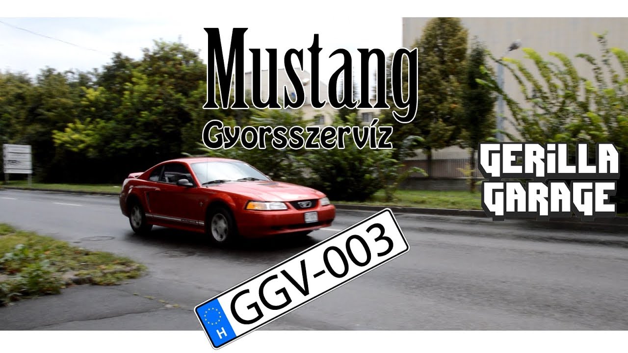 Ford Mustang gyorsszervíz | GGV-003