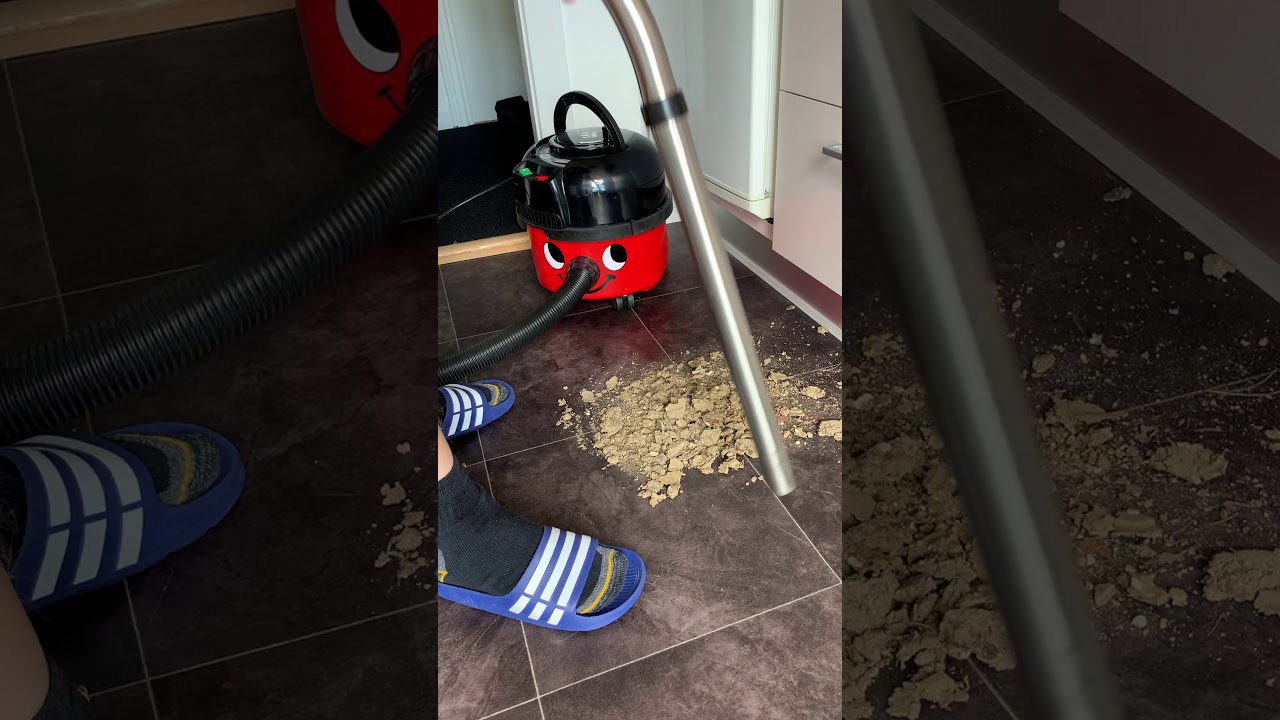 A little pile of dirt for Henry the Hoover