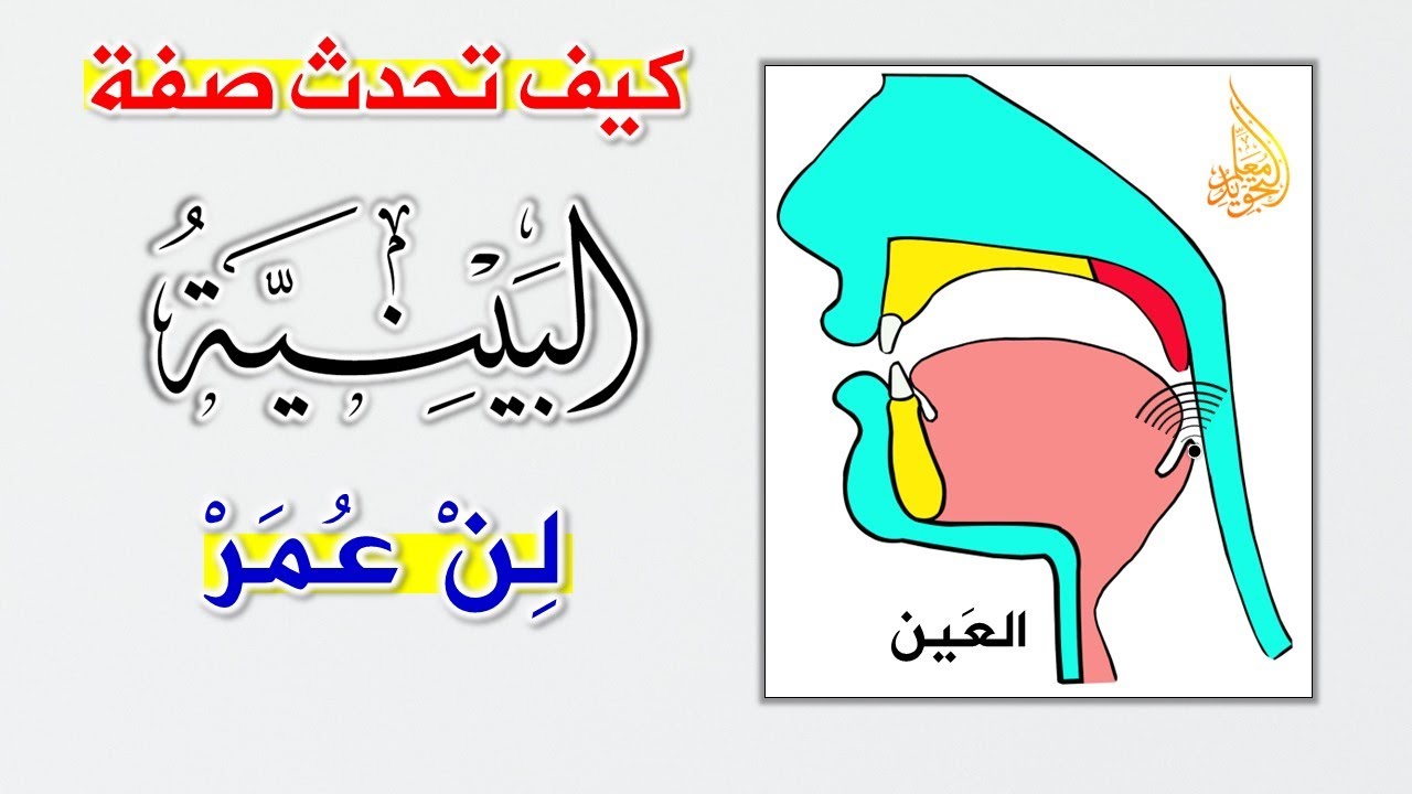 ما هي صفة البينية وكيف تحدث في حروف لن عمر