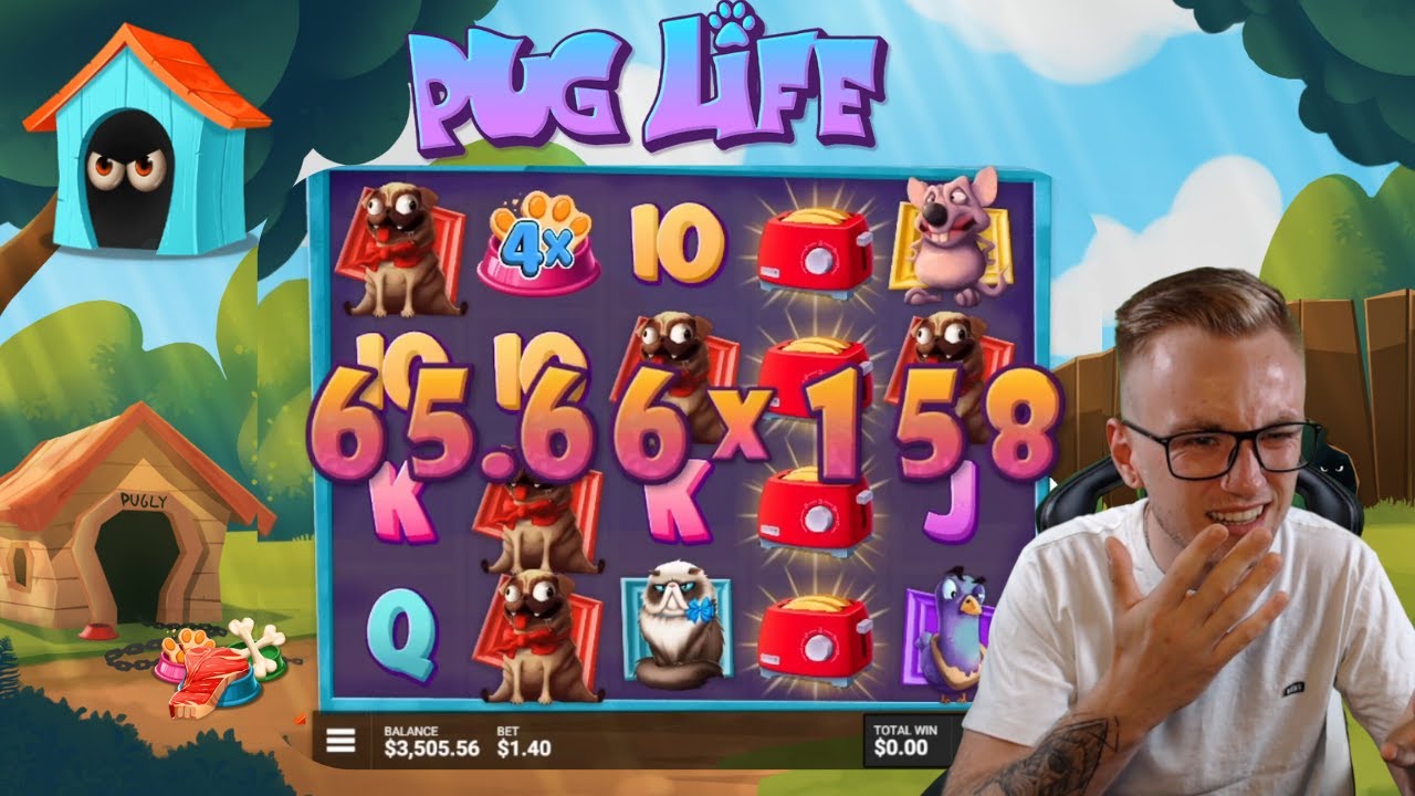 IS THIS MAXWIN?? PUG LIFE 😱😱
