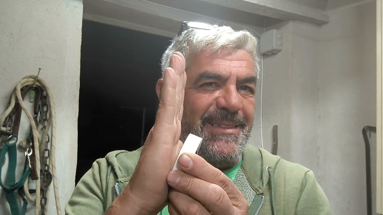 Como hacer esquejes para tener un elevado tanto por ciento de éxito.