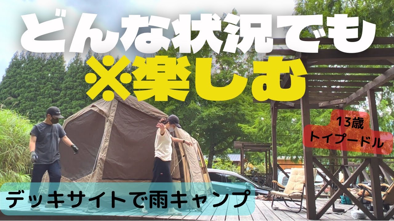 【夫婦キャンプ】１３歳トイプードルと過ごす雨キャンプ。奈良県垰キャンプ場